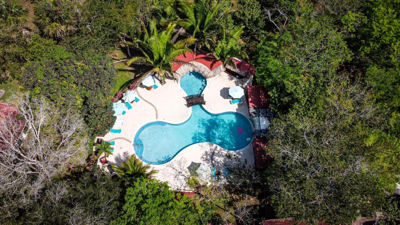 Kikiwitz Resort Belmopán Exterior foto